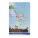 یادگار اکابر شیخ الاسلام رح نمبر جلدیں ۲ Yaadgar e Akabir (Volume 2) Sheikh ul Islam No