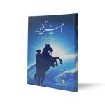 امیر تیمور Ameer Taimoor