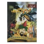 عمروعیار اور دیگر کہانیاں Umar o Ayaar Aur Digar Kahania