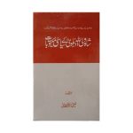 (شاہ ولی اللہ دہلوی رح کے سیاسی مکتوبات) Shah wali ullah dehlwi ke siyasi maktoobat