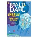 Charlie and the Great Glass Elevator