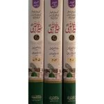 (سیرت النبی صلی اللّٰہ علیہ وسلم (دو رنگی) جلدیں 3) Seerat-un-Nabi SAW - Image 2