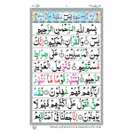 Y/452TH – Surah Yaseen Tajweedi - Image 2