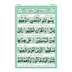 Y/464A – Surah Yaseen Translated - Image 2