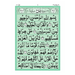 Y/451 – Surah Yaseen - Image 2