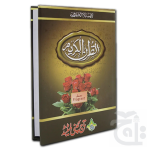 Holy Quran(16 Line Hafzi)Purfeum 76M