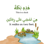 How do Animals walk? - Image 2