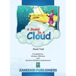 A Sound In A Cloud