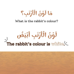 Animal Colors - Image 2