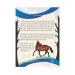 The Horse’s Bridle - Image 2