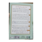 NORANI QAIDA (LEMINATION) - Image 2