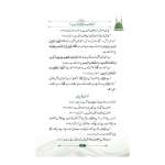 Sunnat e Habeeb (Aala) سنت حبیب - Image 2