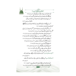 Sunnat e Habeeb (Sada) سنت حبیب - Image 2